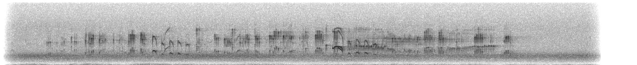 Graubrust-Tachurityrann - ML299096