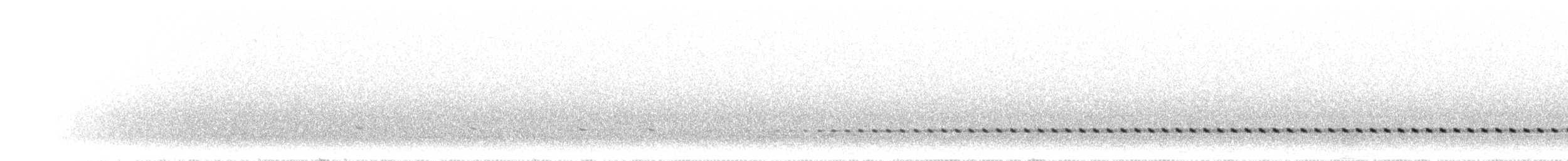 Tinamou de Darwin - ML299111