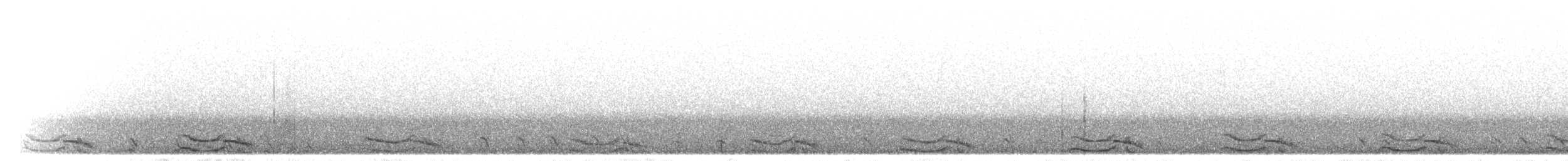 Puna Tinamusu - ML299133