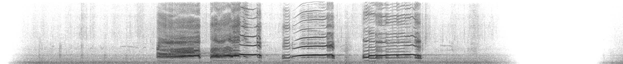 ringnebbmåke - ML299154621