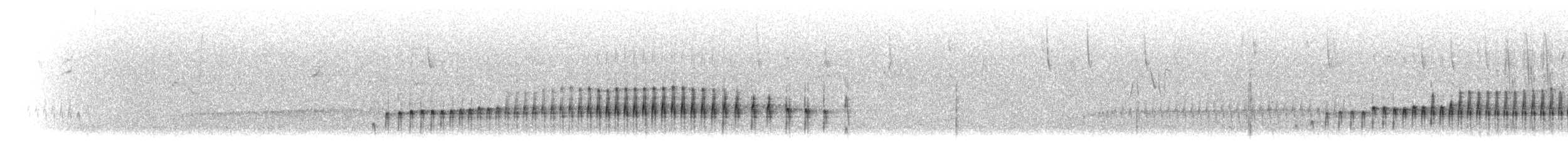 langnebbmarkløper (jelskii/saturata) (blekbrystmarkløper) - ML299161