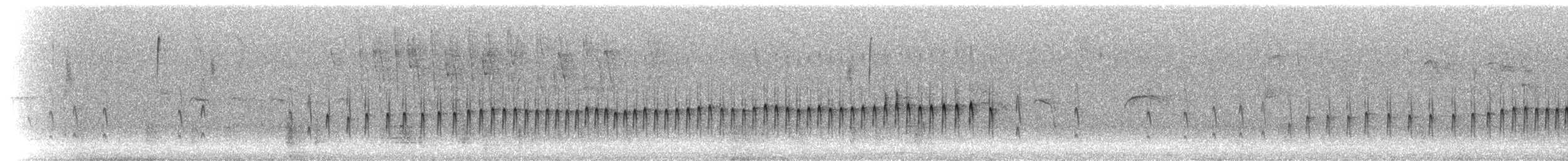 Langschnabel-Erdhacker (jelskii/saturata) - ML299162