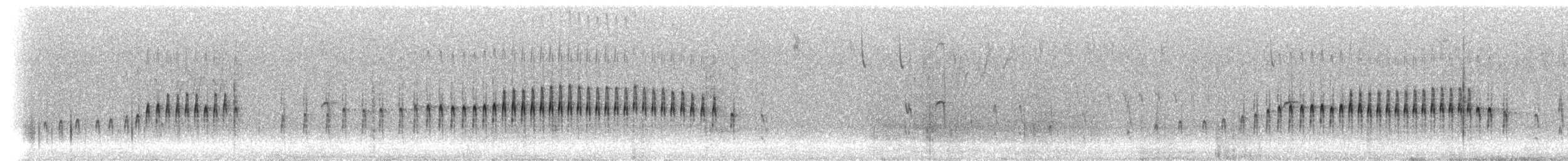 Langschnabel-Erdhacker (jelskii/saturata) - ML299163