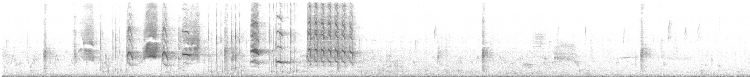 Boat-tailed Grackle - ML299184021