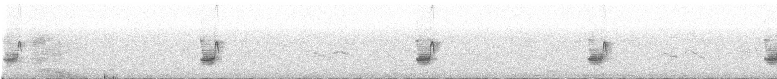 Antzandobi handi iberiarra - ML299197041