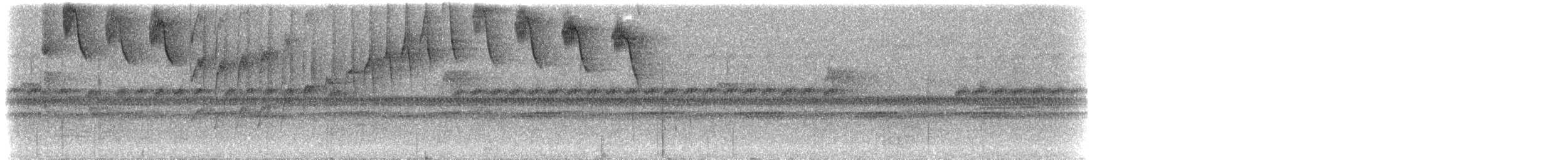 Violet-tailed Sylph - ML299324