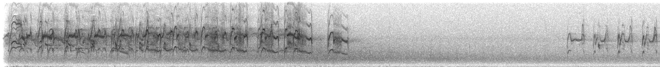 Halsbandsegler - ML299370