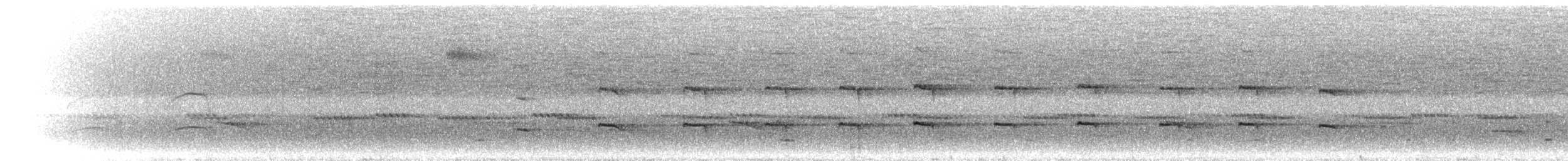 krahujec americký (ssp. ventralis) - ML299384