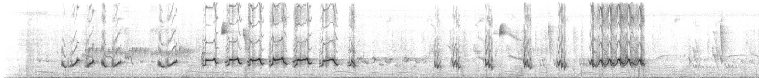 Sinsonte Tropical - ML299393581