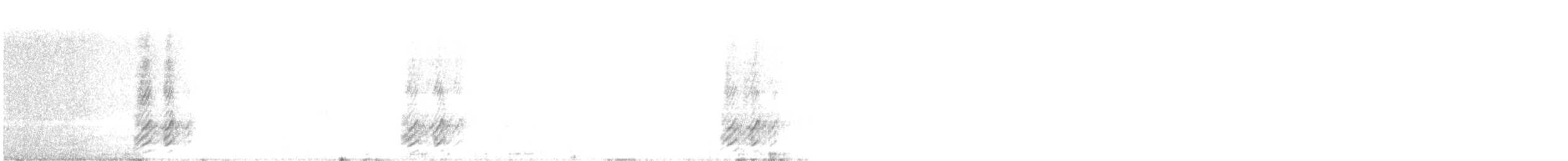 Kara Gagalı Saksağan - ML299484941