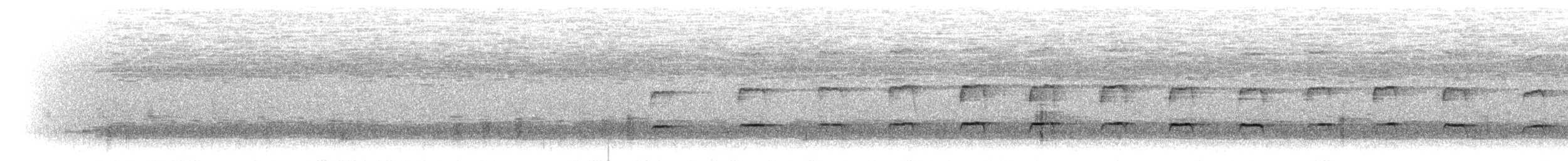 krahujec americký (ssp. ventralis) - ML299499