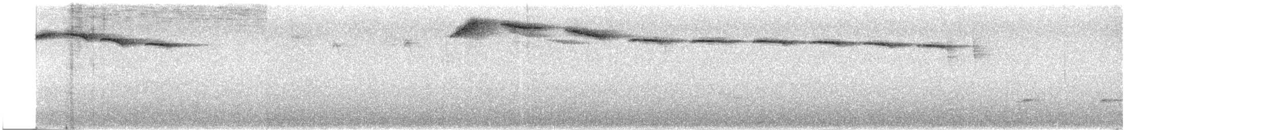 Пестрохвостый колибри - ML299512691