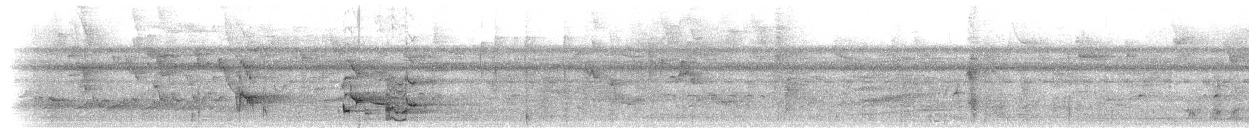 Amazone à lores rouges ou A. lilacée - ML299546