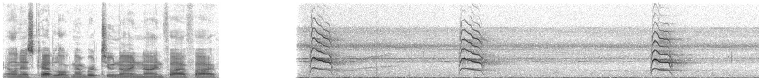 Large-billed Tern - ML29955