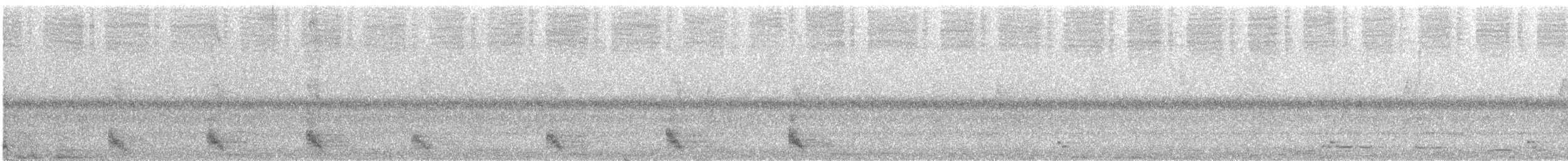 Pheasant Coucal - ML299551611