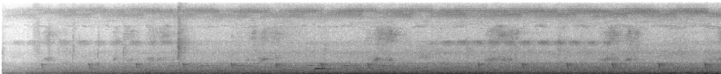 Large-tailed Nightjar - ML299569581