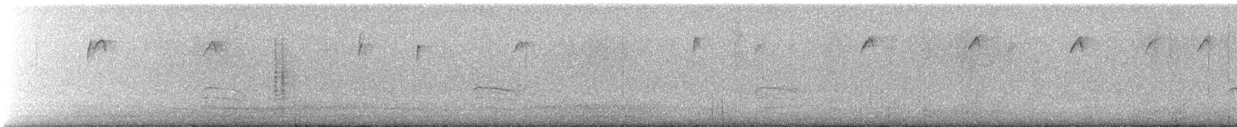 Mésange bicolore - ML299596631