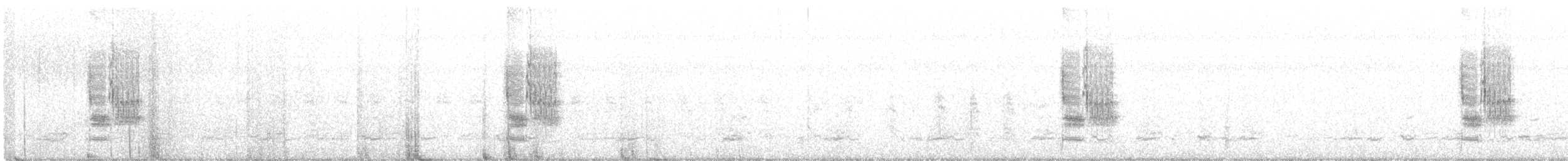 ťuhýk šedý [skupina elegans] - ML299659401