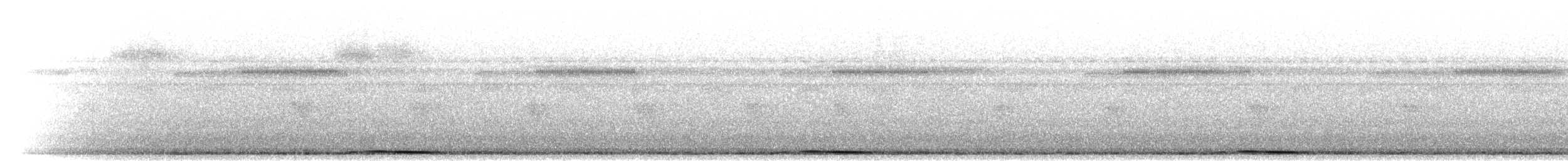 holub panamský - ML299688