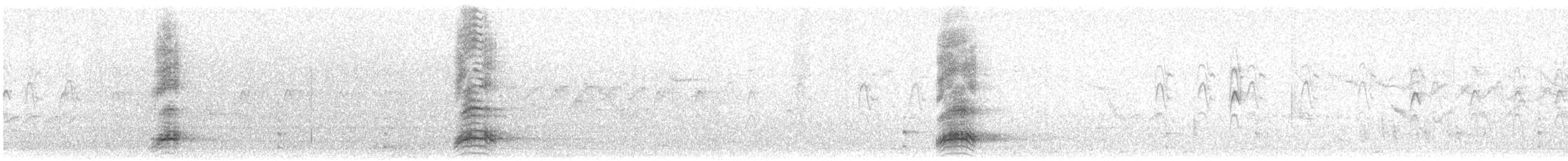 Black-crowned Night Heron - ML299692551
