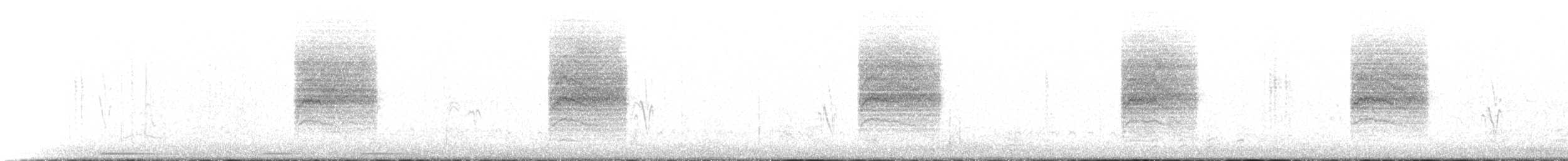 Black-tailed Gnatcatcher - ML299747101
