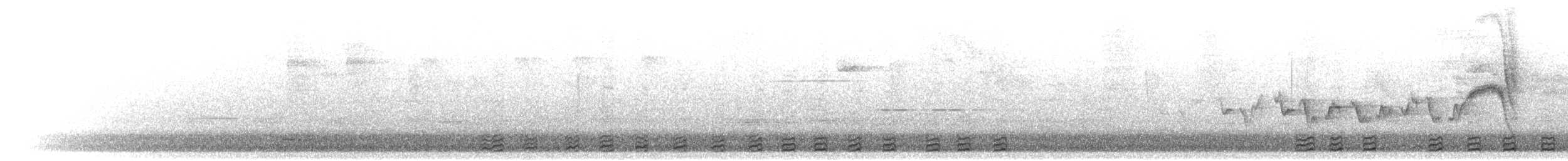 klonebbskjeggfugl - ML299767