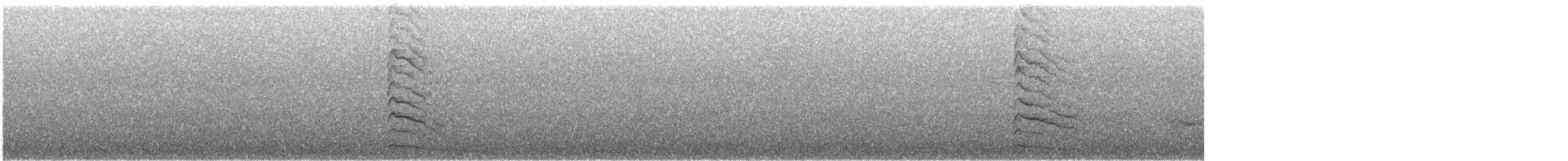 Дятел-смоктун білочеревий - ML29977881