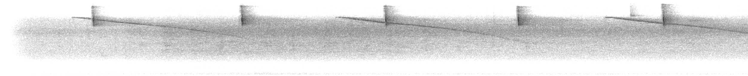 Вулкановый колибри - ML299850