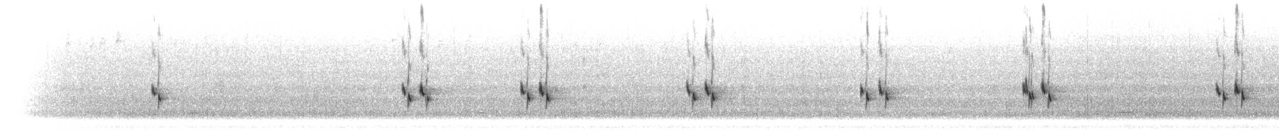 Long-tailed Silky-flycatcher - ML299860