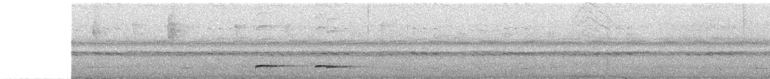 Graubrust-Ameisendrossel - ML299929141