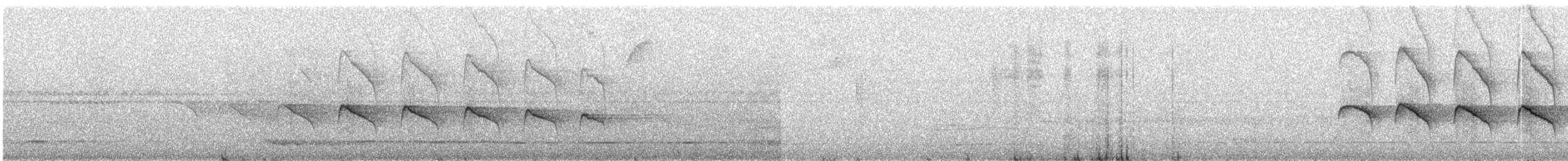 ロンドニアオニキバシリ（fuscicapillus） - ML299932141