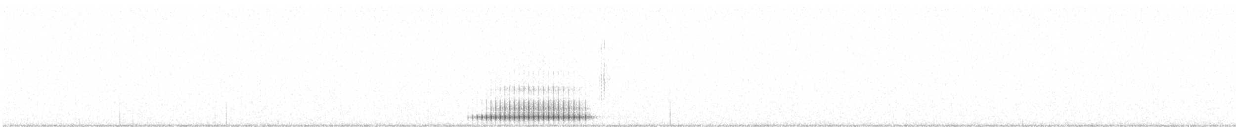 strakapoud americký - ML299944651