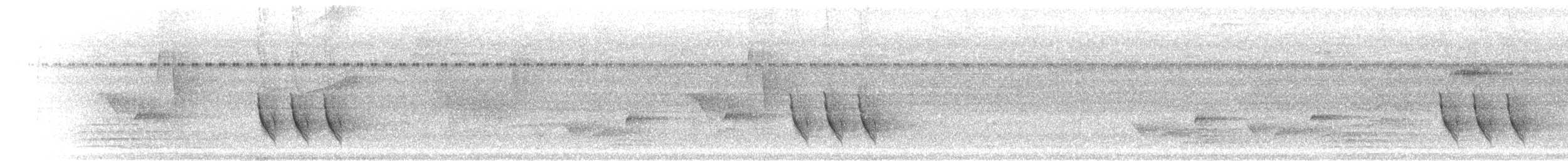 Eufonia Coronipinta - ML300011