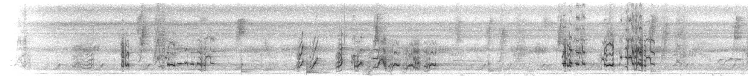 Amazone à lores rouges ou A. lilacée - ML300035