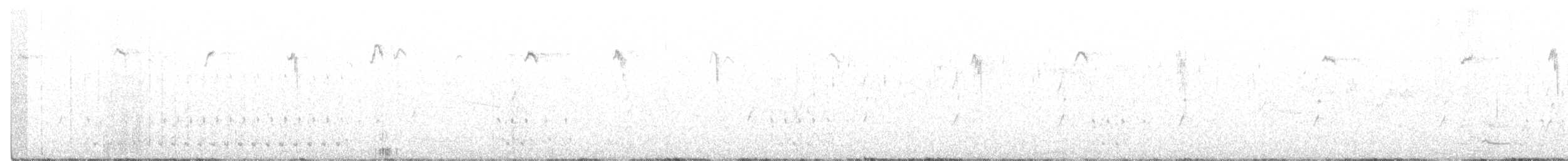 ハジロオーストラリアムシクイ - ML300060191