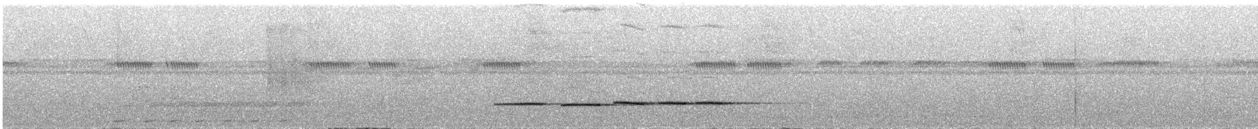 Troglodyte flûtiste - ML300104461