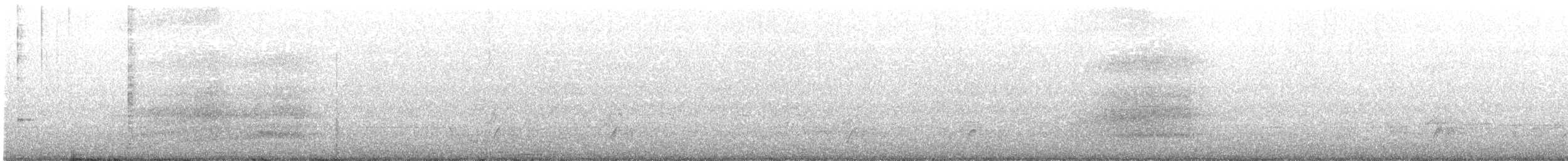 Rufipenne de Tristram - ML300106011