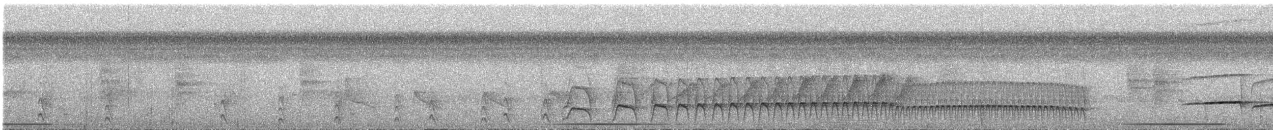 Curve-billed Scythebill - ML300120491