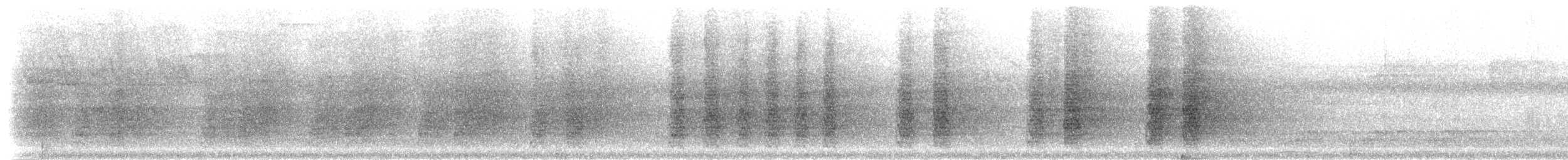 Weißstirnamazone - ML300141