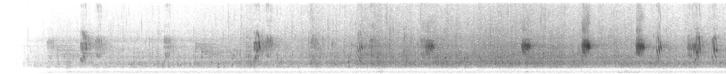 Mangrov Kırlangıç - ML300149