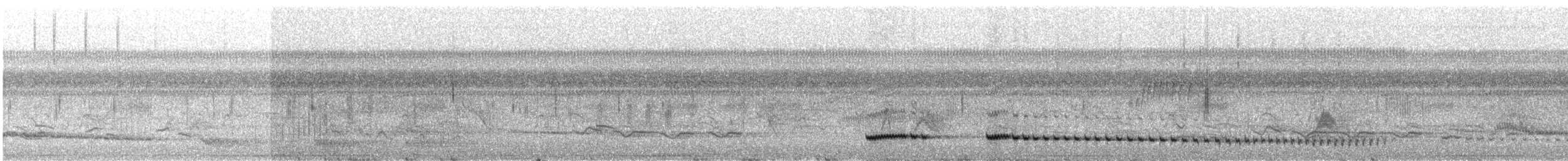 Small-billed Tinamou - ML300172701