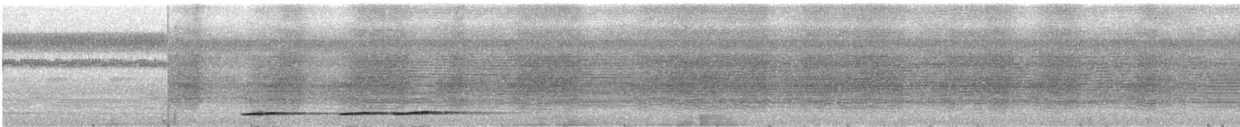 Undulated Tinamou - ML300209601