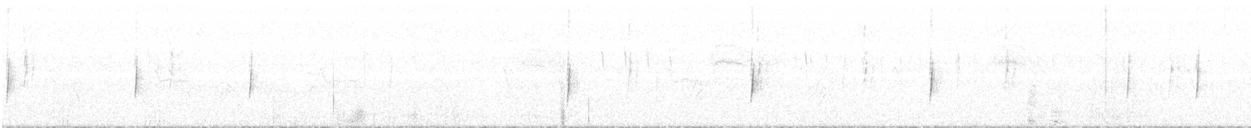 Піві-малюк сірий - ML300225461