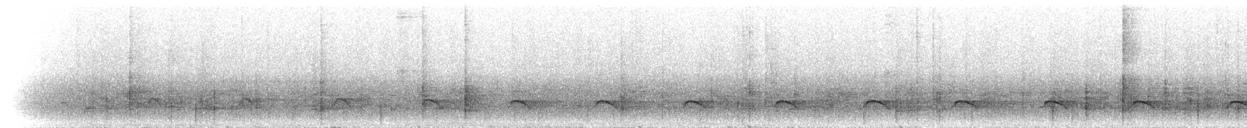 Лінивка-коротун бура - ML300244