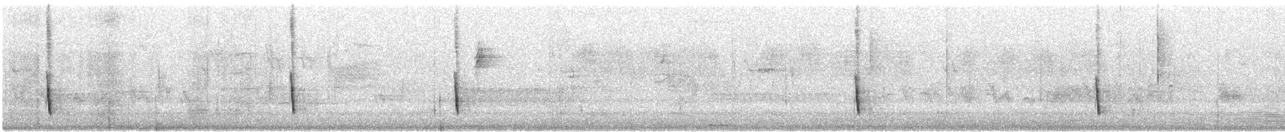 Hermit Thrush (guttatus Group) - ML300250031