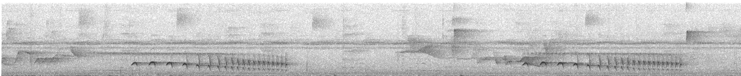 Olivgrau-Ameisenvogel - ML300259381