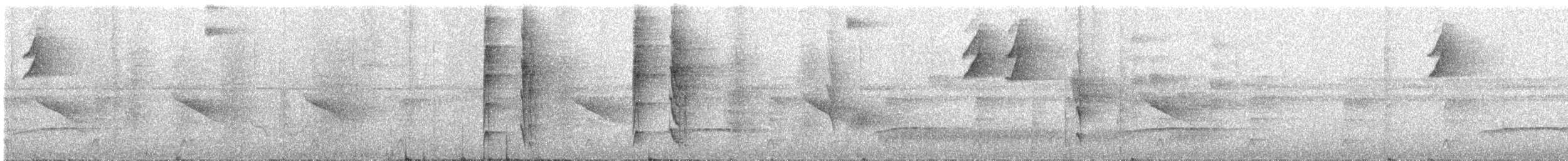 Тиран-інка андійський - ML300259641