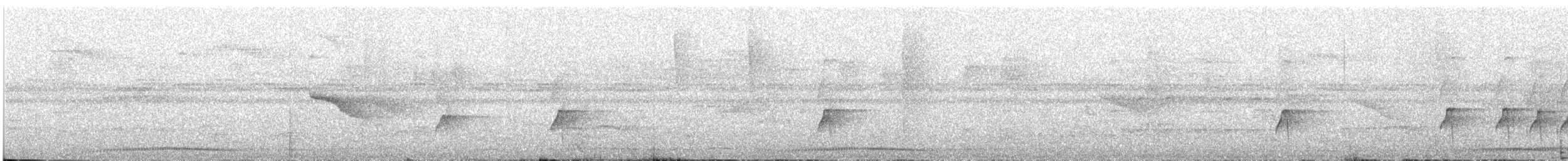 Тиран-крихітка темноголовий - ML300259771