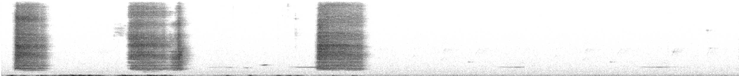 Spotted Bowerbird - ML300286071