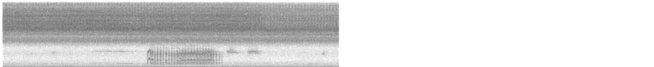 Spotless Crake - ML300286211